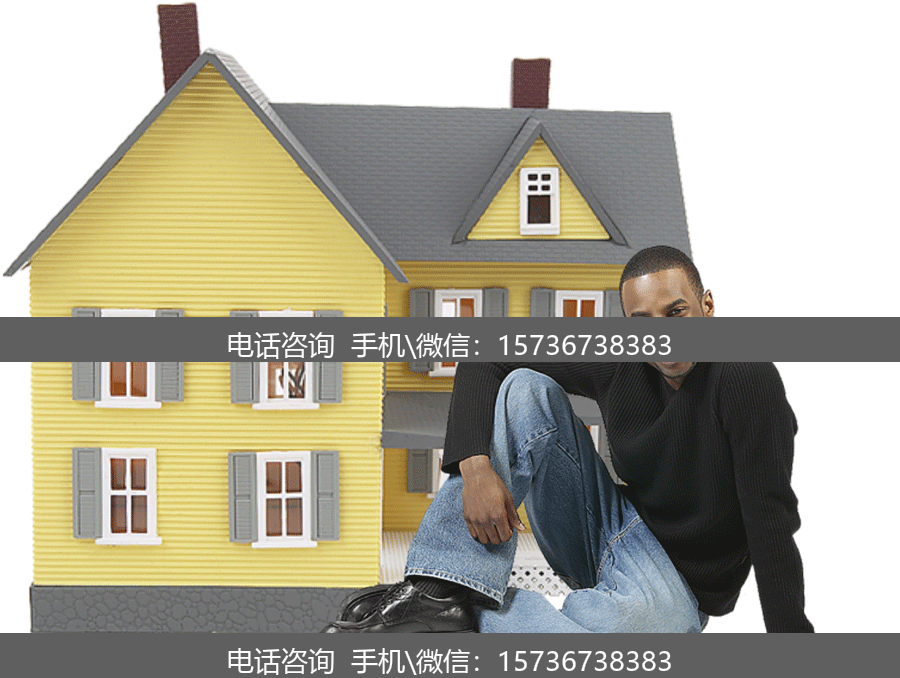 网络科技服务